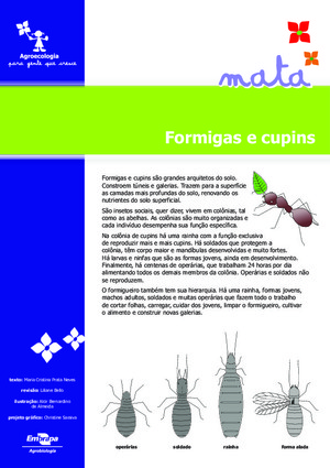 Formigas e Cupins
